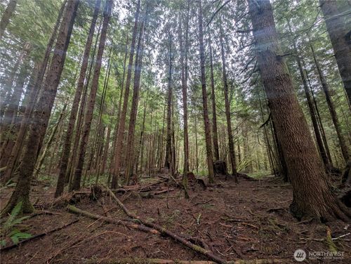 9991 Quillayute Rd, Forks, WA, 98331 | Card Image
