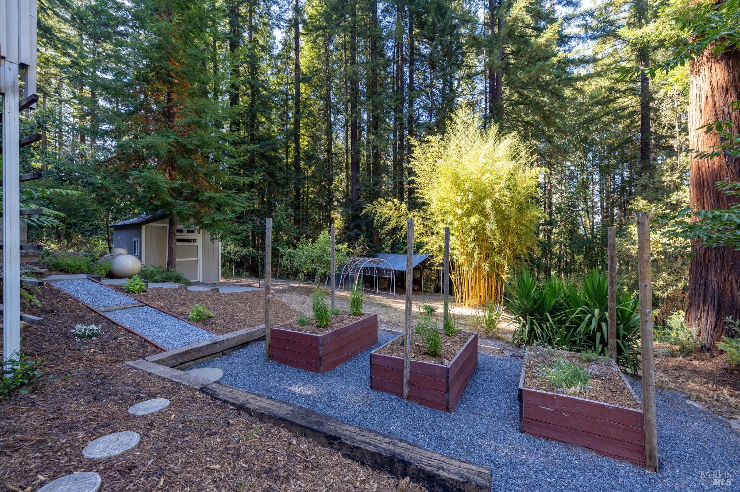 Residential in Sebastopol 4