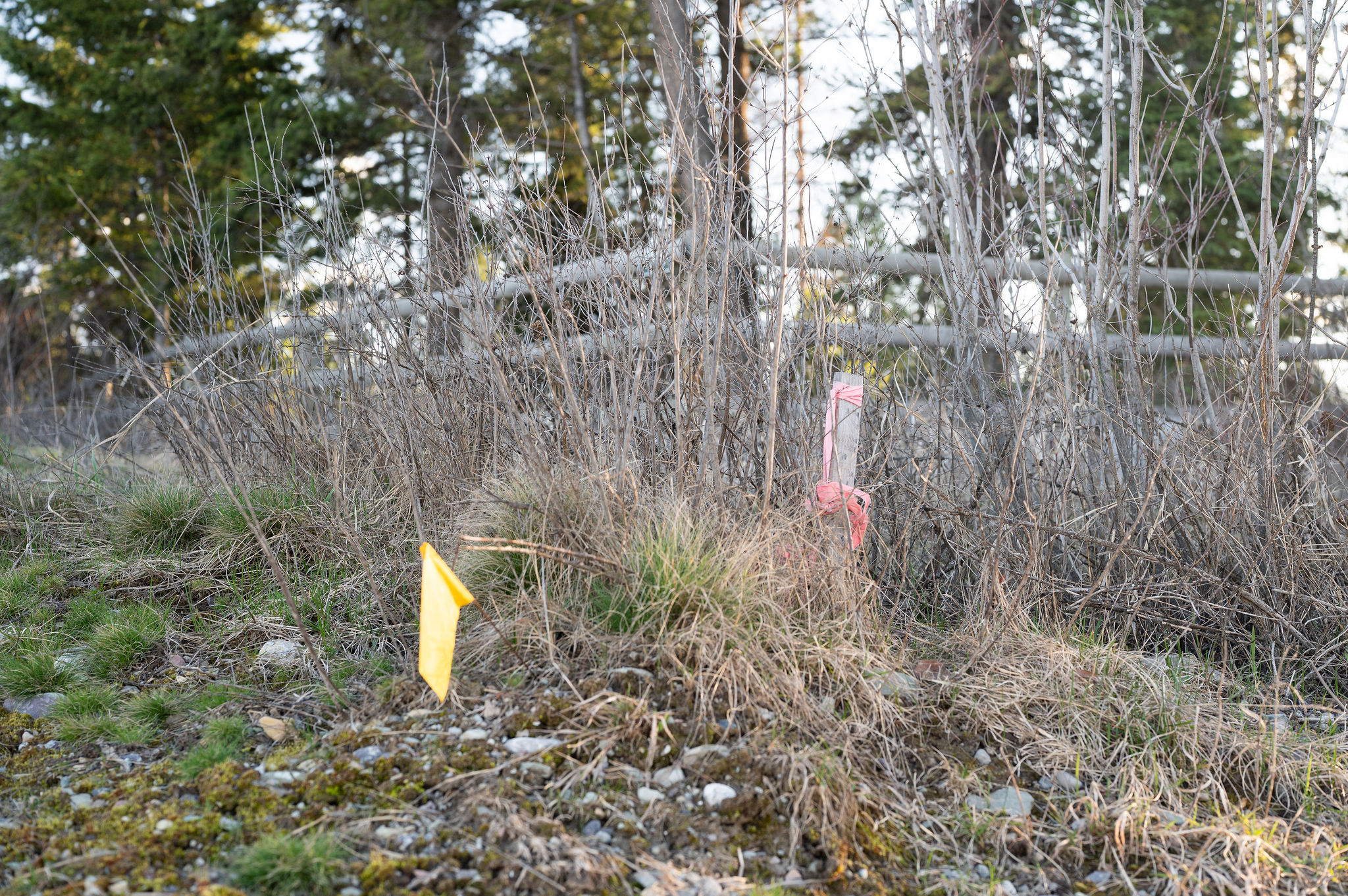 Land in Whitefish 3