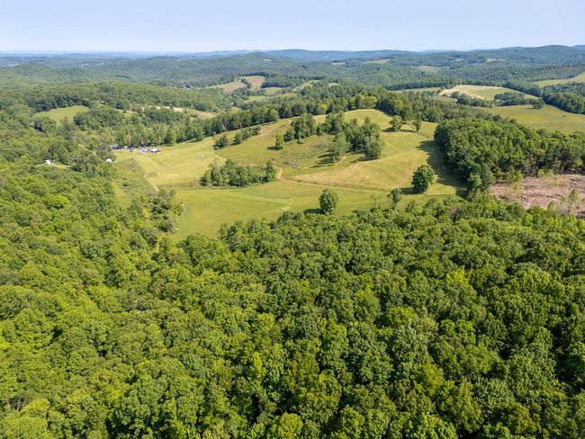 688 Gibson Knob Rd, Home with 0 bedrooms, 0 bathrooms and null parking in Laurel Fork VA | Image 31