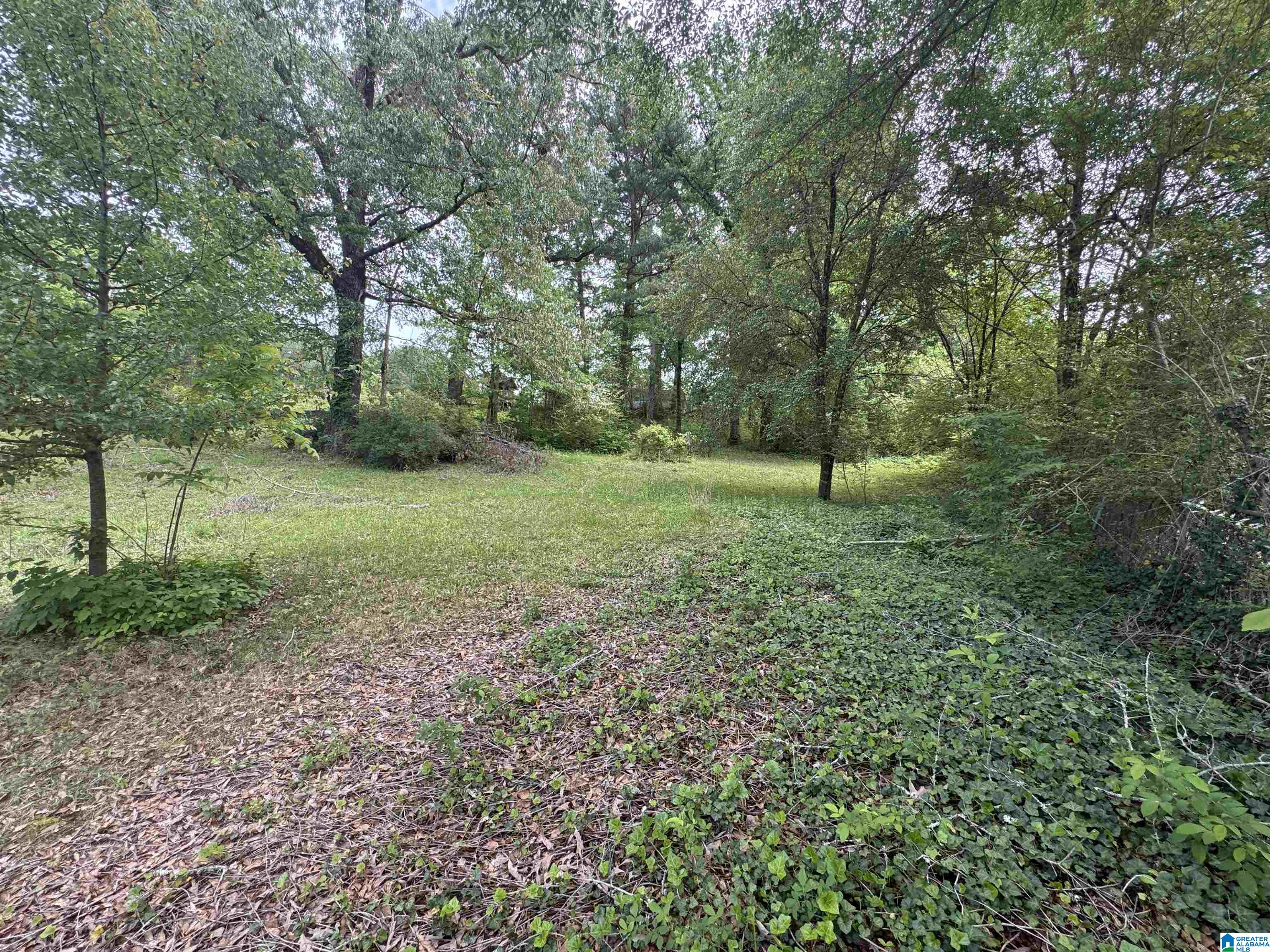 Residential in TRUSSVILLE 2