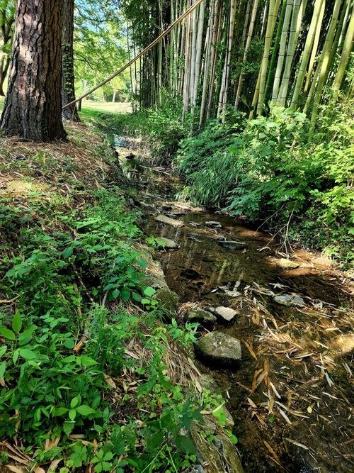 267 Graylynn Dr, Nashville, TN, 37214-2707 | Card Image