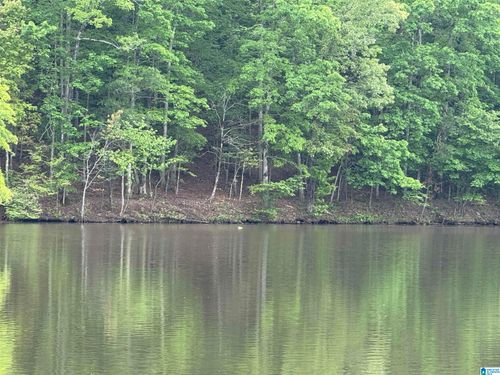 1-Lot 1 Old Highway 431, Wedowee, AL, 36278-4607 | Card Image