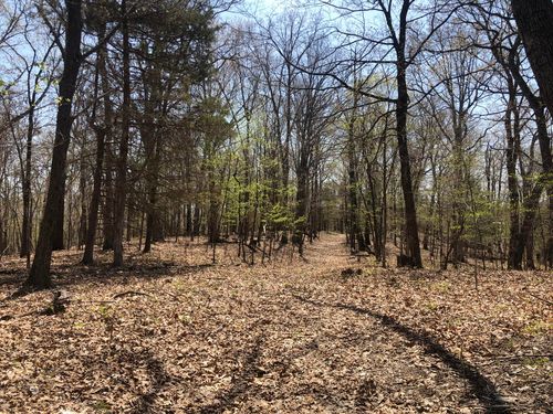 000 355.77 +/- Ac County Road 4053, Portland, MO, 65067 | Card Image