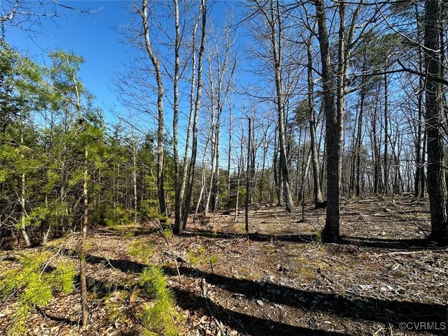 30.19 Acres (Off Of) Belvedere Dr, Home with 0 bedrooms, 0 bathrooms and null parking in Fieldale VA | Image 9