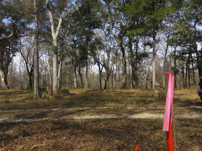 Property is surveyed | Image 7