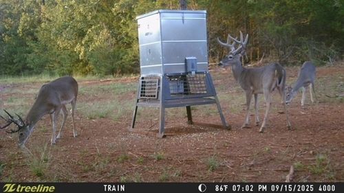 TBD County Road 440, Lindale, TX, 75771 | Card Image
