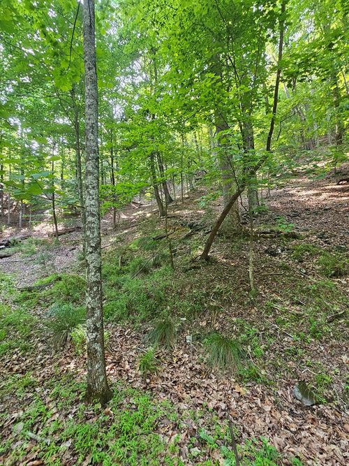 1111 Quail Cove Drive, Jasper, GA, 30143 | Card Image