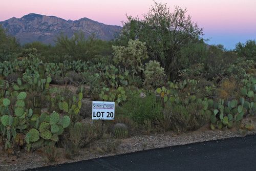 20-11904 N Vista Del Sol, Oro Valley, AZ, 85742 | Card Image