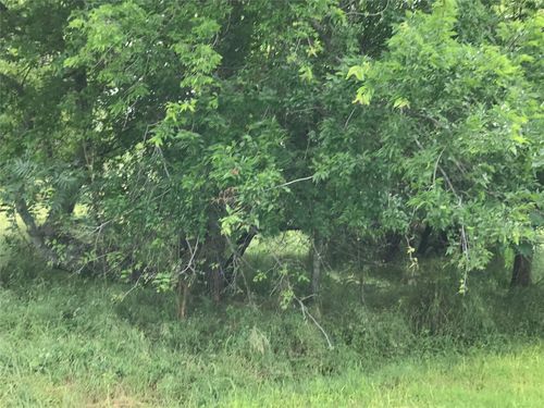 21112 Hill Terrace Dr, Whitney, TX, 76692 | Card Image