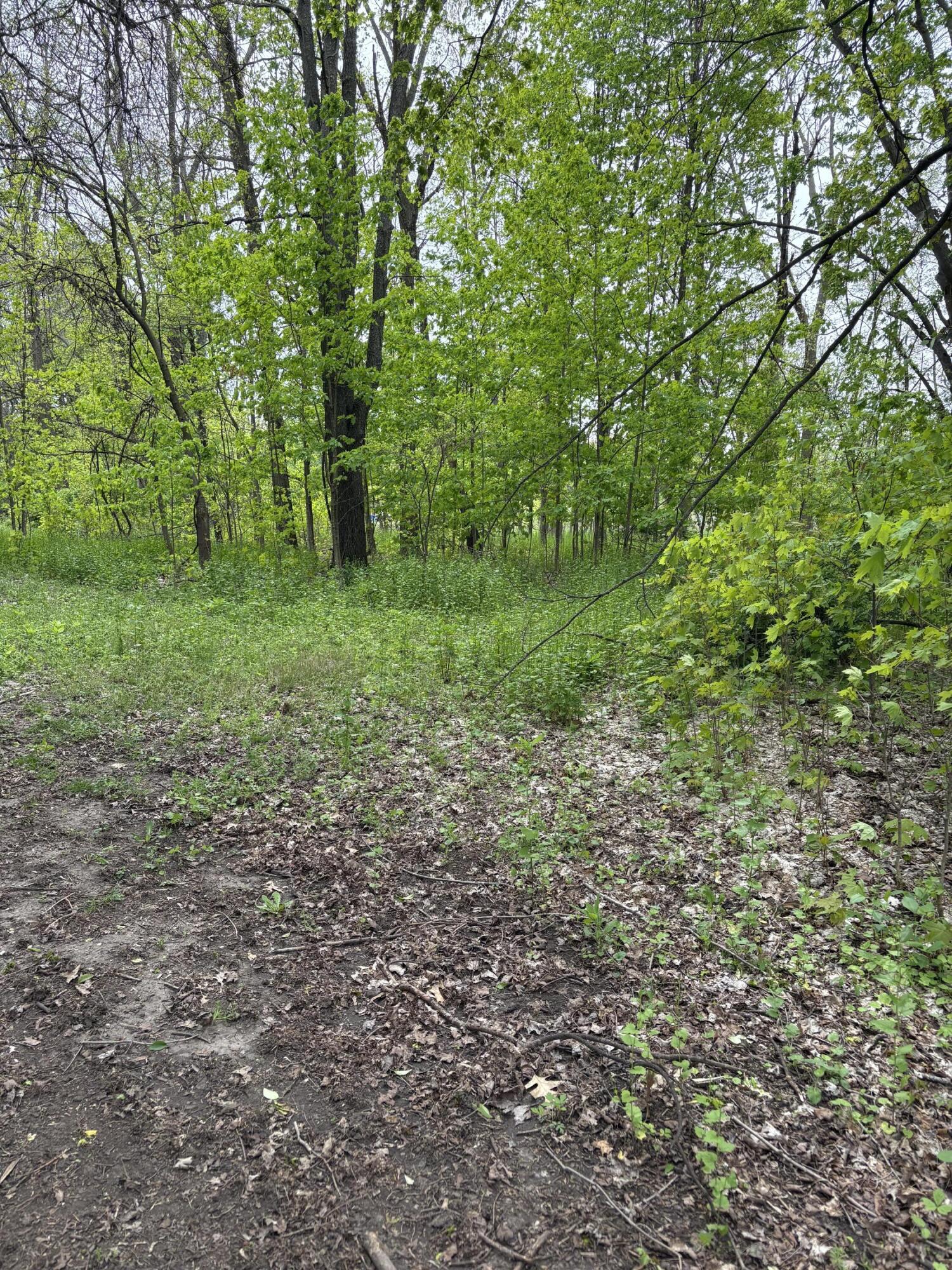 Land in Battle Creek 2