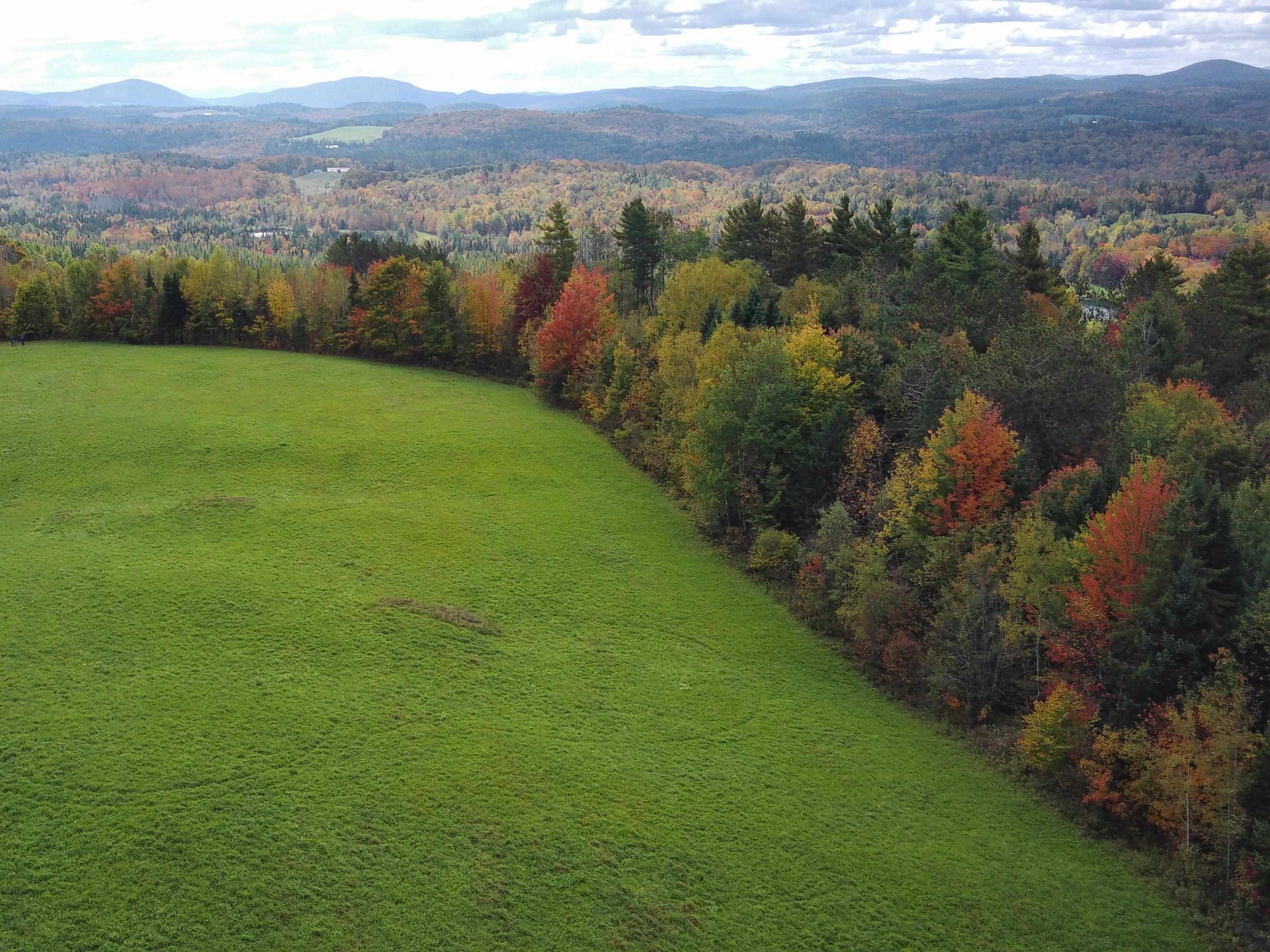 Land in Danville 5