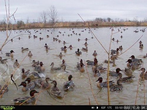 18260 145 Highway, McCrory, AR, 72101 | Card Image