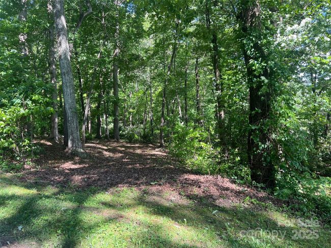 1110 Timberbluff Way, Home with 0 bedrooms, 0 bathrooms and null parking in Arden NC | Image 10