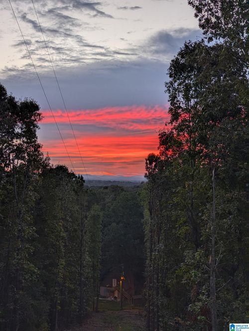 345 County Road 467, VINCENT, AL, 35178 | Card Image