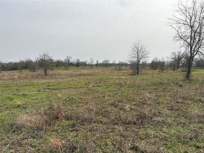 TRACT-2 - TBD County Road 2425, Home with 0 bedrooms, 0 bathrooms and null parking in Como TX | Image 14