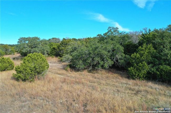 111 Dodder Ln, Home with 0 bedrooms, 0 bathrooms and null parking in Spring Branch TX | Image 8