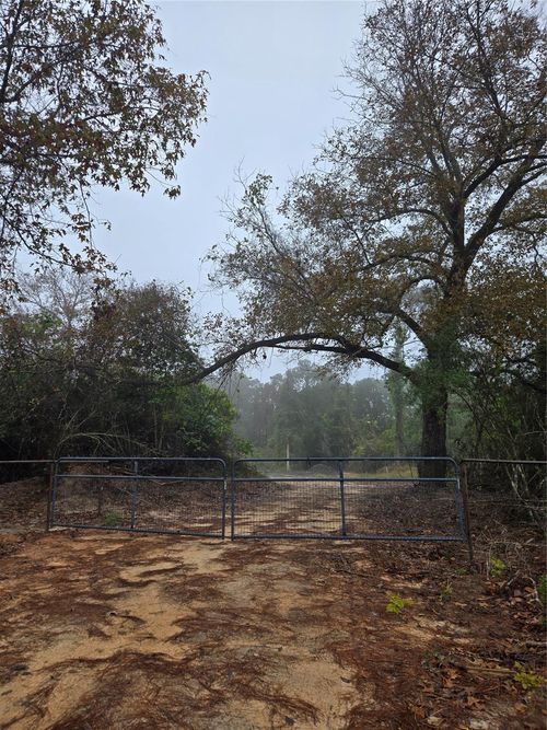 1017 County Road 3325, Colmesneil, TX, 75938 | Card Image