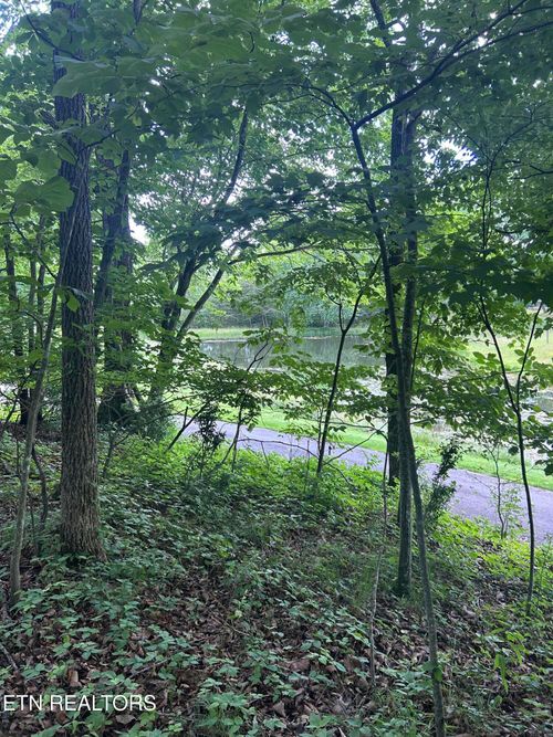 26 Rolling Green Court, Fairfield Glade, TN, 38558 | Card Image