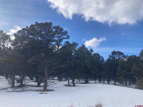 Lot 2 (TBD) Snowberry Ln, Ridgway, CO, 81432 | Card Image