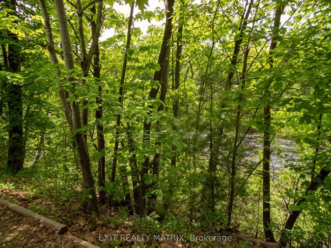 12654 Lanark Rd, Home with 0 bedrooms, 0 bathrooms and null parking in Calabogie ON | Image 19