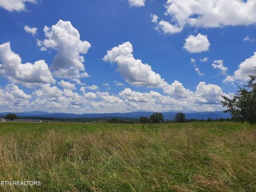 1290 Clear Springs Rd, Limestone, TN, 37681-3805 | Card Image