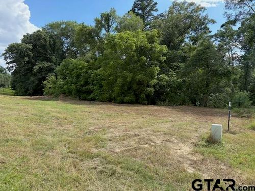 TBD Cypress Creek Dr, Diana, TX, 75640 | Card Image