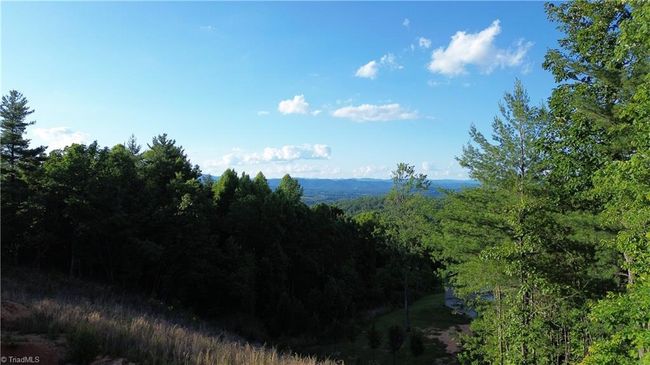 19 Rose Briar Rd, Home with 0 bedrooms, 0 bathrooms and null parking in Boomer NC | Image 7