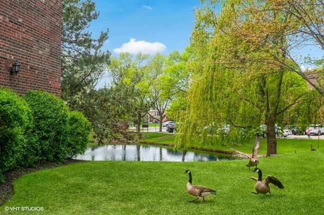 APT-101 - 1002 Castilian Ct, Condo with 2 bedrooms, 2 bathrooms and 1 parking in Glenview IL | Image 18