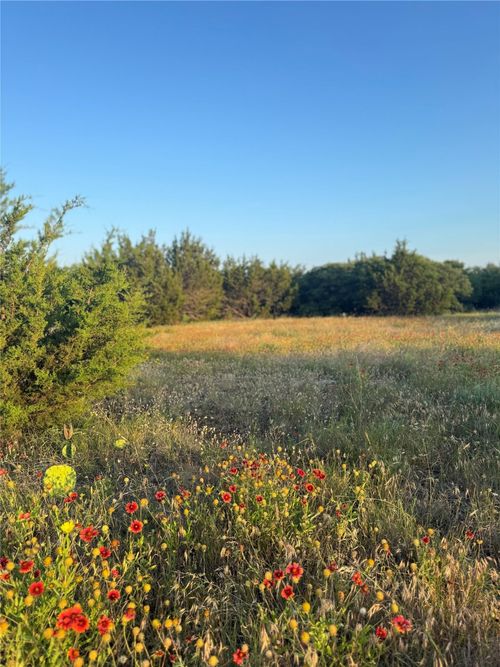 TBD Pecan Shell Rd, Desdemona, TX, 76445 | Card Image