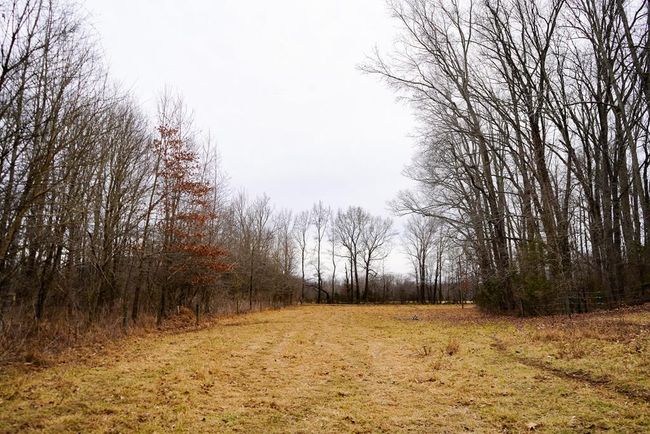 4031 Marion Rd, Home with 0 bedrooms, 0 bathrooms and null parking in Chatham VA | Image 35