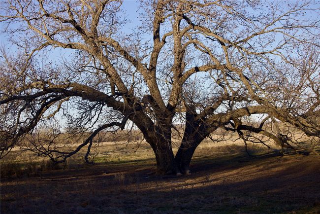 View of nature | Image 4