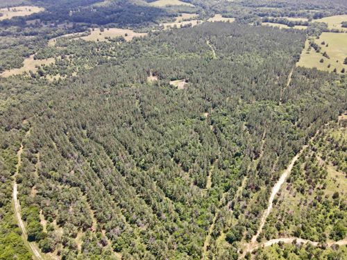 000 Fleetwood Rd, Lonsdale, AR, 72087 | Card Image