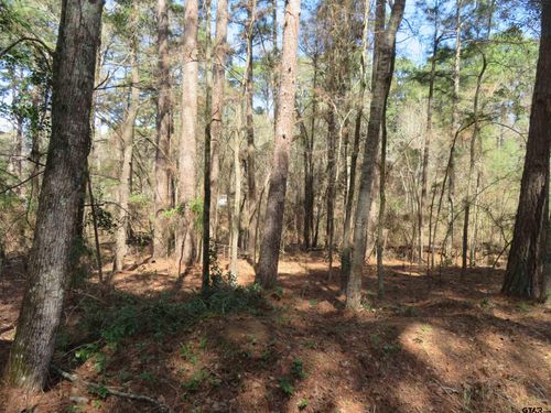 19904 Channel View Dr, Flint, TX, 75762-9498 | Card Image