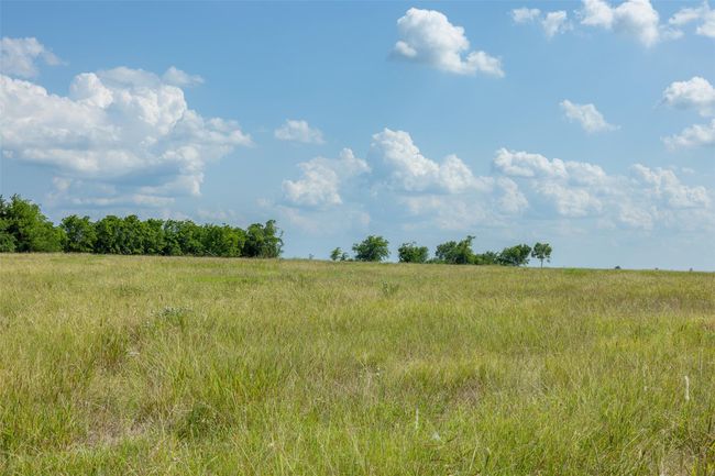 317 Memory Ln, Home with 0 bedrooms, 0 bathrooms and null parking in Burton TX | Image 16