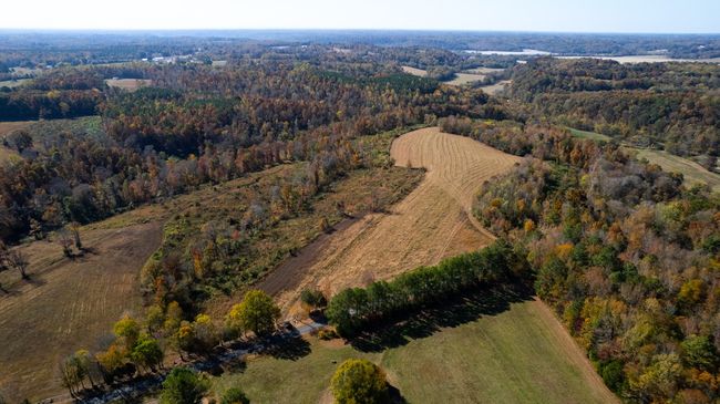 0 Short Cut Rd, Home with 0 bedrooms, 0 bathrooms and null parking in Lester AL | Image 10