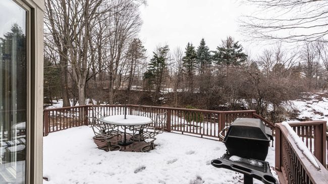 View of rear yard with many trees. | Image 52