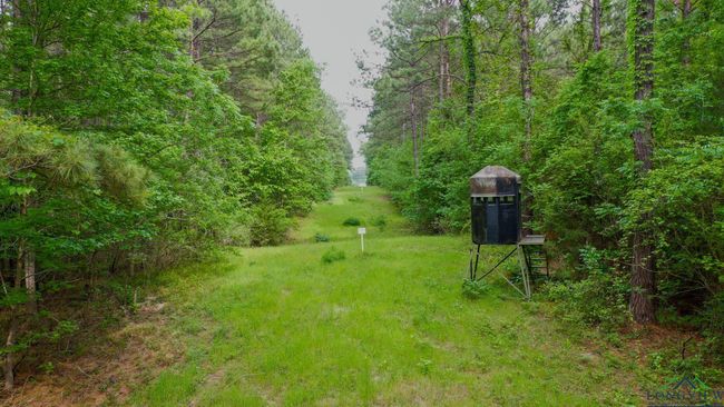 000 Fm 1794 E, Home with 0 bedrooms, 0 bathrooms and null parking in De Berry TX | Image 6