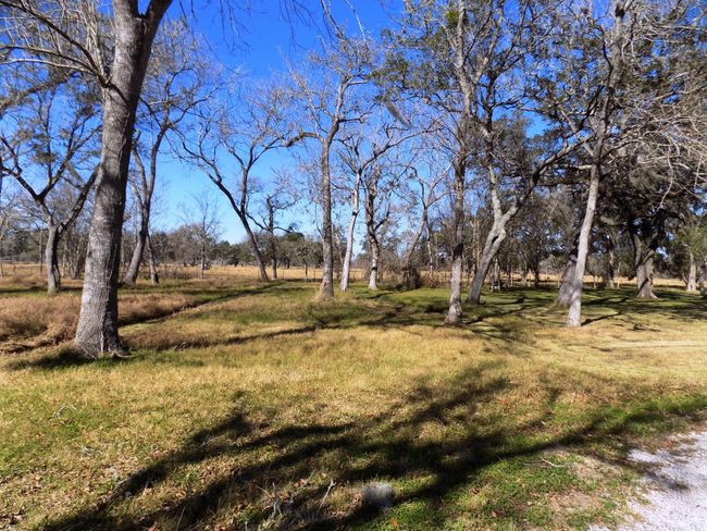 4 County Road 161 Shilo Loop, Home with 0 bedrooms, 0 bathrooms and null parking in Cedar Lane TX | Image 6