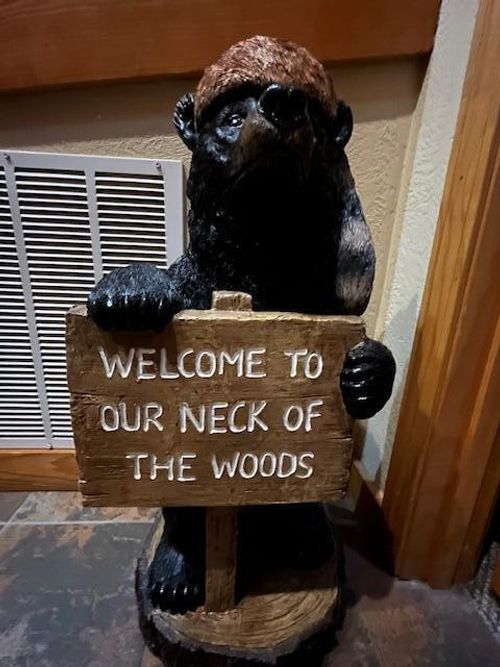 264 Oakridge Dr, Branson, MO, 65616-9699 | Card Image