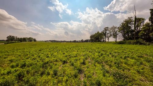 sheridan-estates-tract-1-0 Us Highway 22 Nw, Somerset, OH, 43783 | Card Image