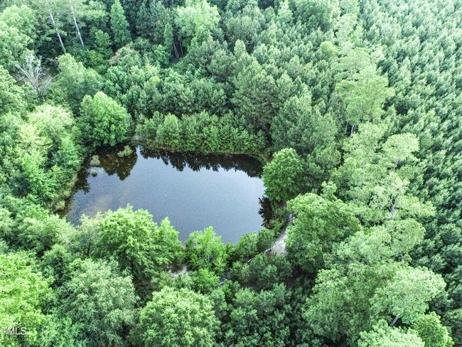 DJI_0944 | Image 4