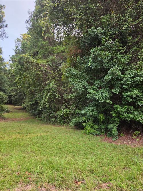 0 Lee Road 699, OPELIKA, AL, 36804 | Card Image
