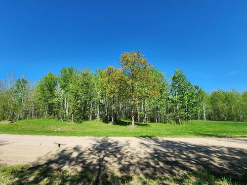 TBD Bear Track Rd, Longville, MN, 56655 | Card Image