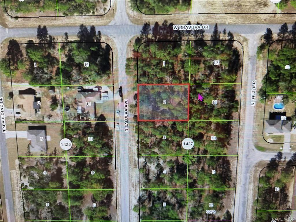 Land in CITRUS SPRINGS
