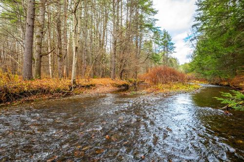 40 E Putney Brook Rd, Putney, VT, 05346-8795 | Card Image