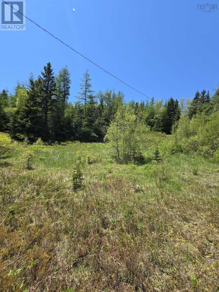 Land in Country Harbour 4