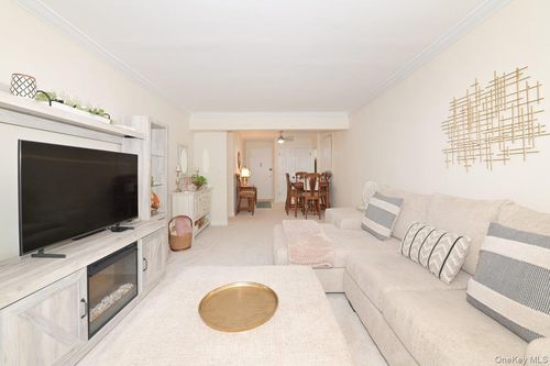 apt-1o-4 Birchwood Ct, Mineola, NY, 11501-4512 | Card Image