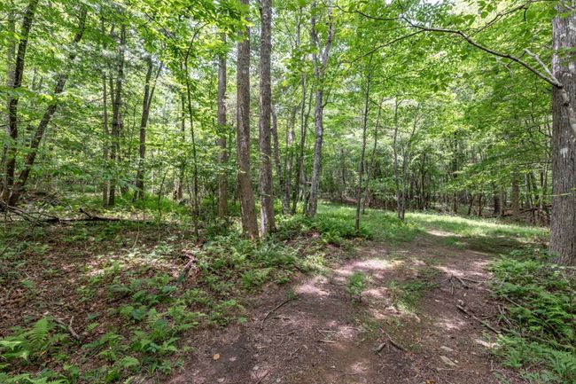 26.18 AC Green Road, Home with 0 bedrooms, 0 bathrooms and null parking in Young Harris GA | Image 24