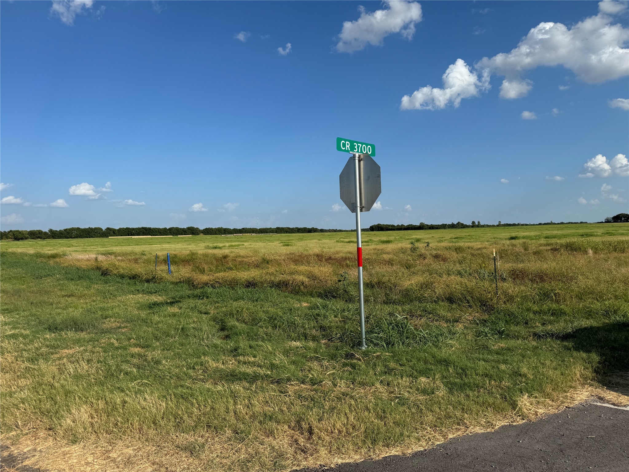 Land in Leonard 4